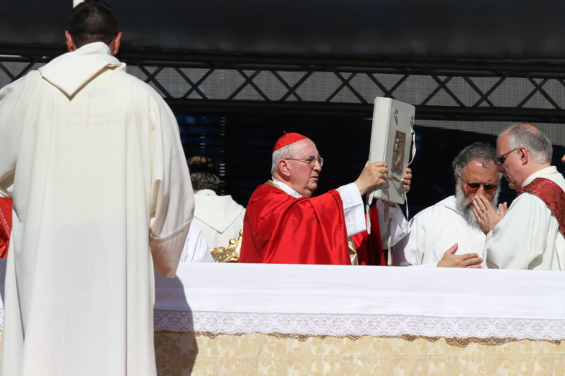 Convocazione Rinnovamento con Papa Francesco_041