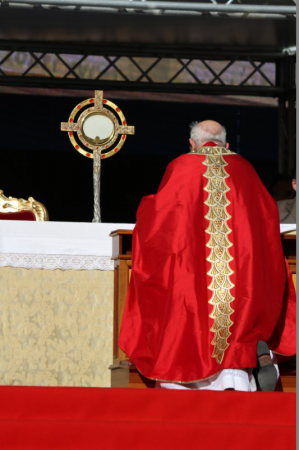 Convocazione Rinnovamento con Papa Francesco_056